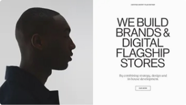 Alpine earplug close-up